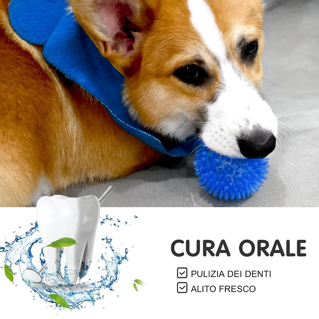 🐾 Palla Giocattolo Dentale per Cani – Colori Assortiti