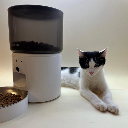 ROJECO Alimentatore automatico per gatti con videocamera