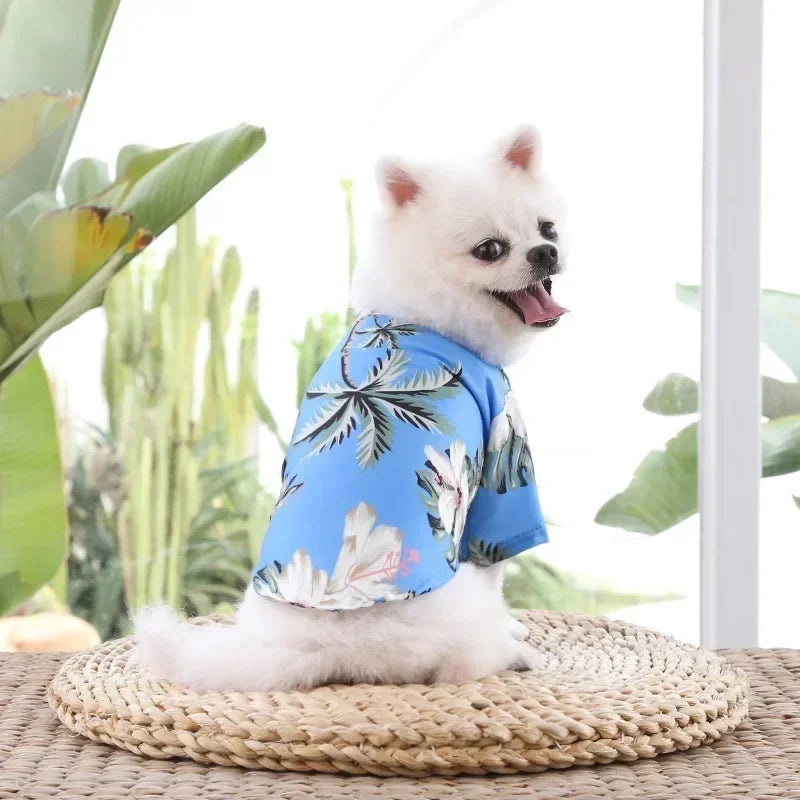 🌺 Maglietta Hawaiana per Cani