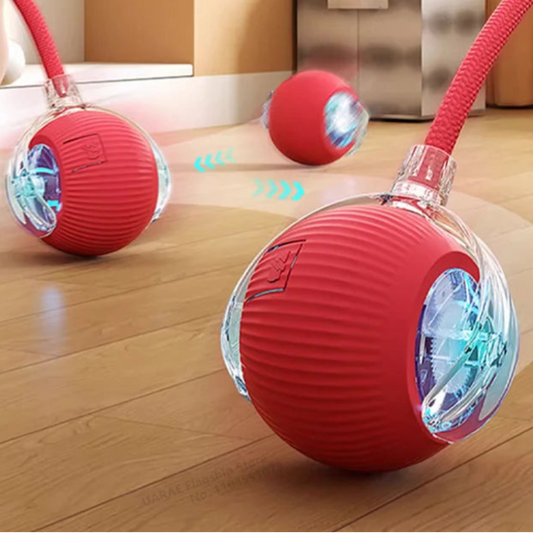Palla Interattiva Automatica per Gatti – Giocattolo con Coda Ricaricabile USB